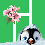 Benutzeravatar